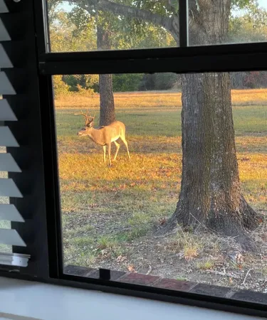 $1,250,000 | 10794 Farm To Market 2159, Calvert, TX 77837