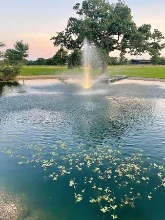 $1,250,000 | 10794 Farm To Market 2159, Calvert, TX 77837