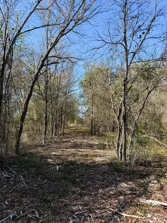 $1,250,000 | 10794 Farm To Market 2159, Calvert, TX 77837