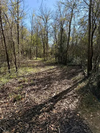 $1,250,000 | 10794 Farm To Market 2159, Calvert, TX 77837