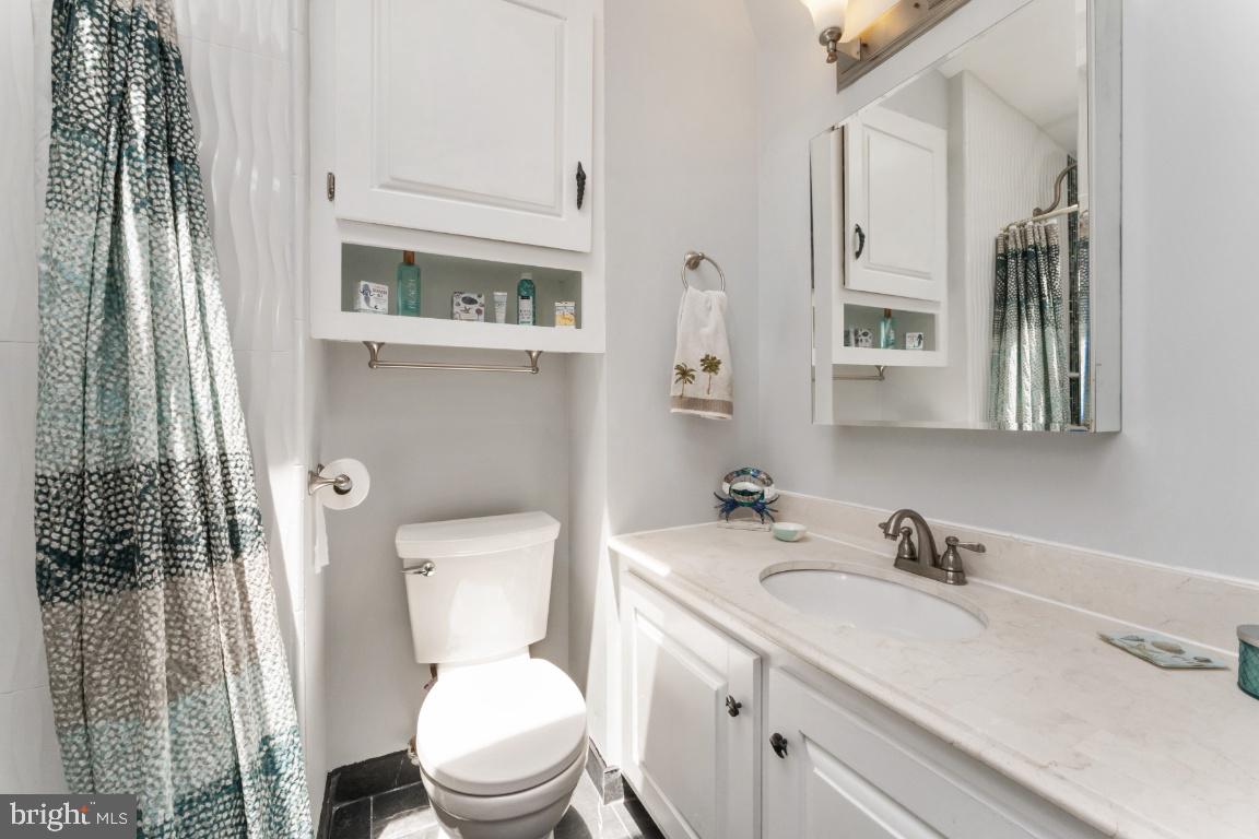 4533 Cub Run Road Chantilly, VA 20151 - Photo 26 of 41 Primary Bath