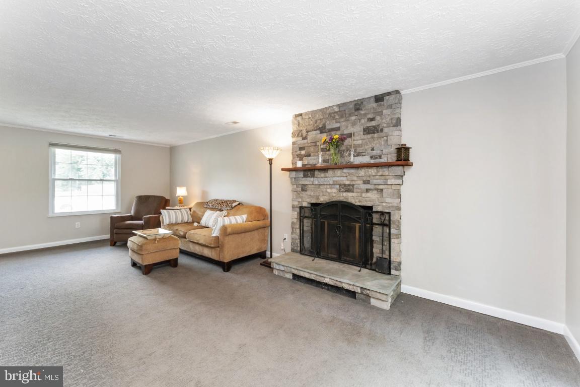4533 Cub Run Road Chantilly, VA 20151 - Photo 6 of 41 Living Room with Stone Fireplace