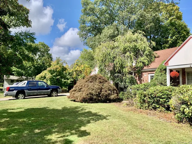 a view of outdoor space yard and patio