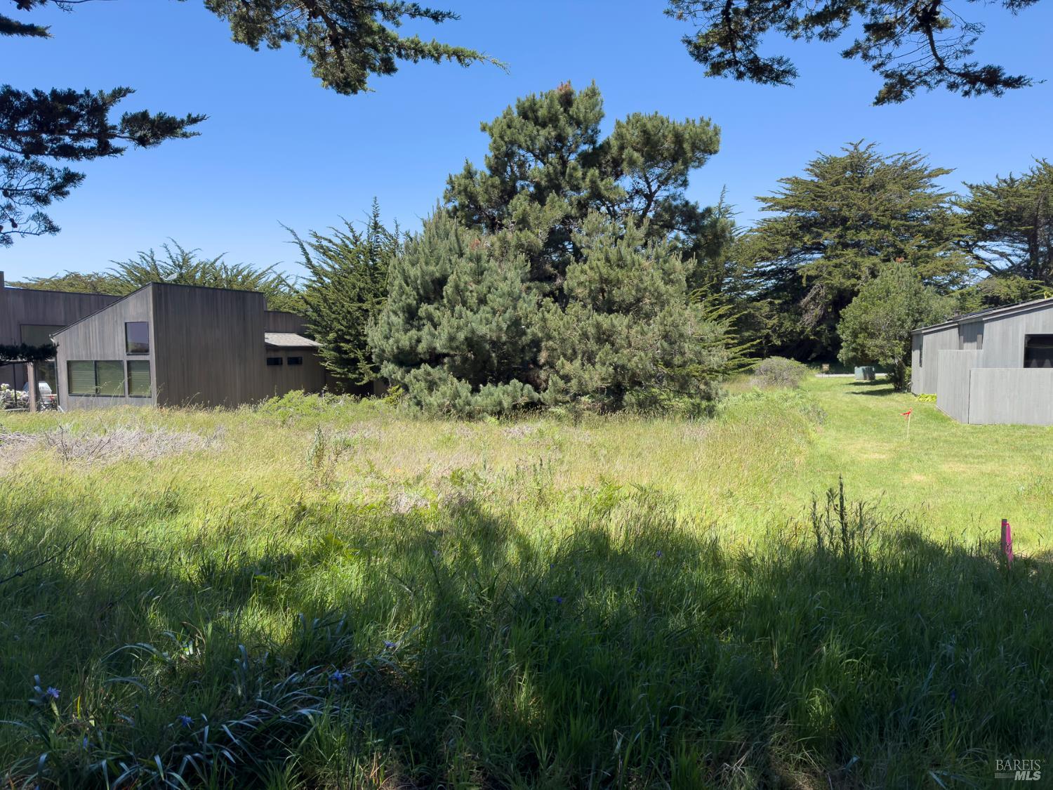41889 Leeward Road The Sea Ranch, CA 95497 - Photo 2 of 13 View back of the lot facing Leeward Rd