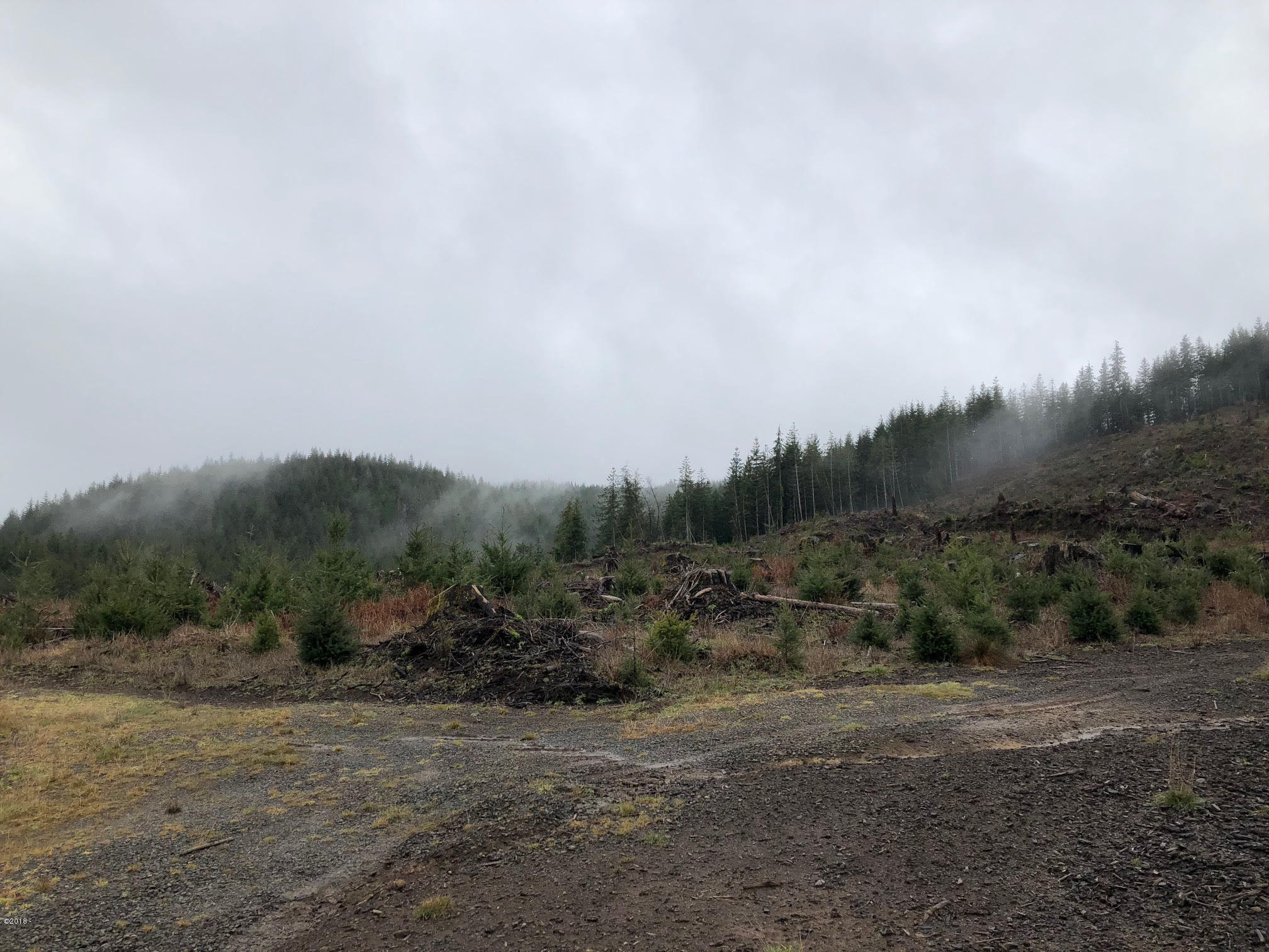 642 Fred Taylor Road Siletz, OR 97380 - Photo 10 of 21 10