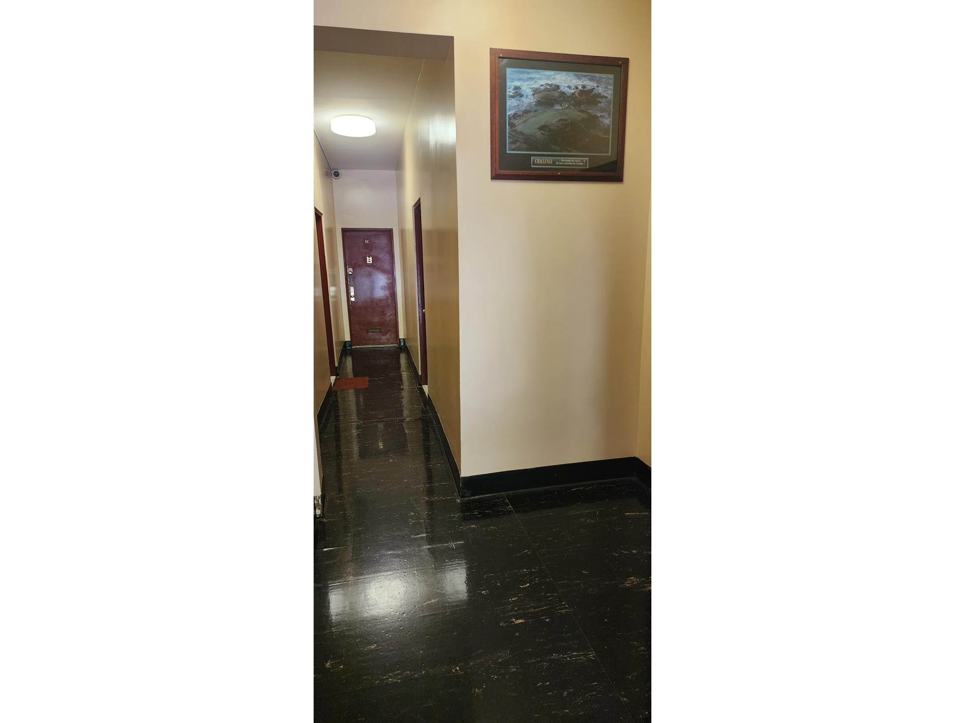 767 Eastern Parkway, Unit 1B Brooklyn, NY 11213 - Photo 5 of 6 a view of a hallway with wooden floor