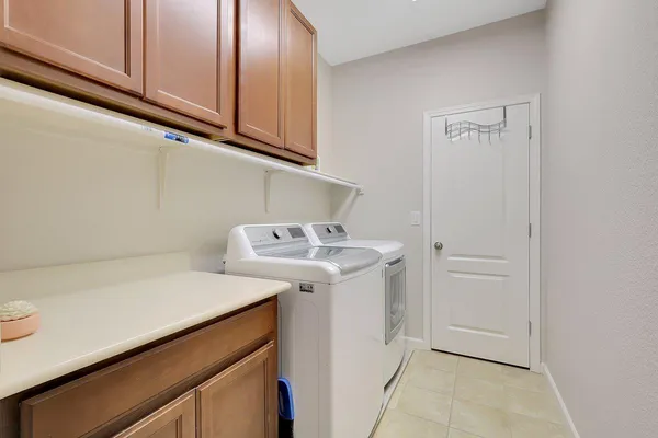 a view of a backyard with plants and large tree