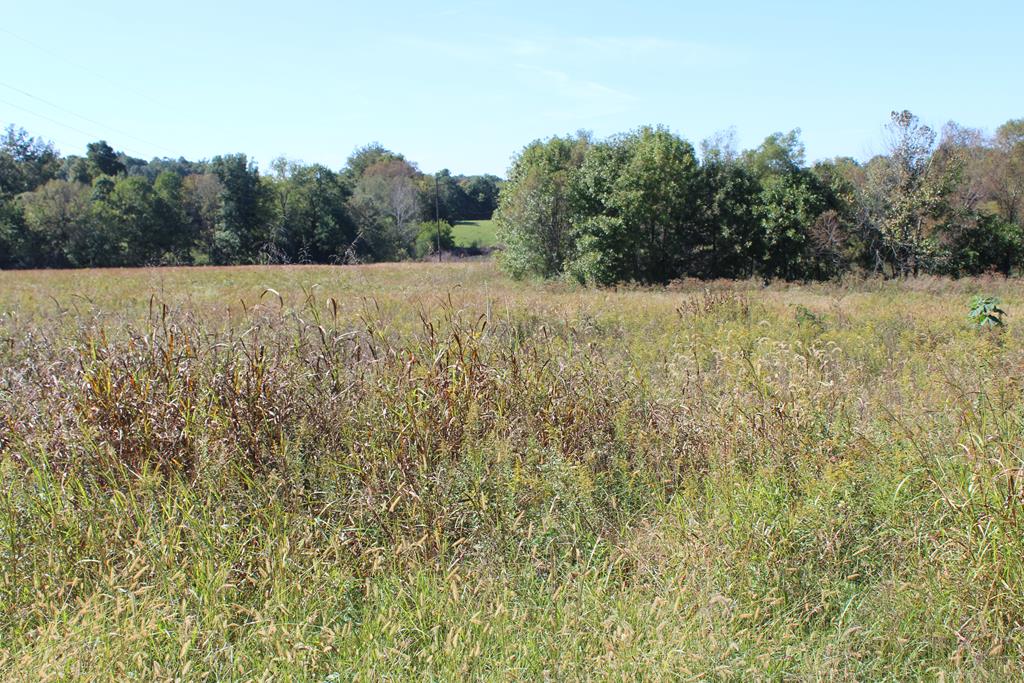 Land Nobob Road Glasgow, KY 42141 - Photo 1 of 1 Gallery Image 1