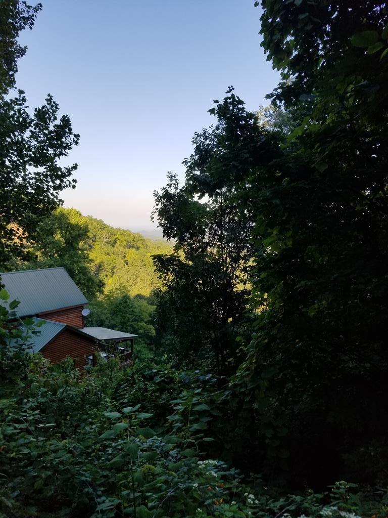 1 Overholt Trail Sevierville, TN 37862 - Photo 1 of 7