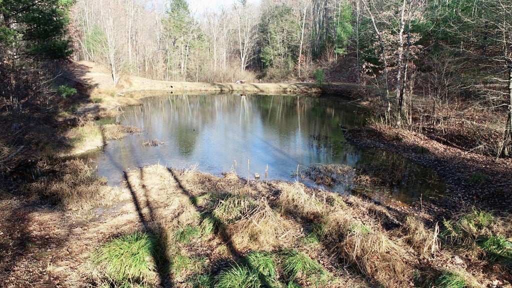 21345 Ridge Drive Three Springs, PA 17264 - Photo 22 of 28 Gallery Image 22