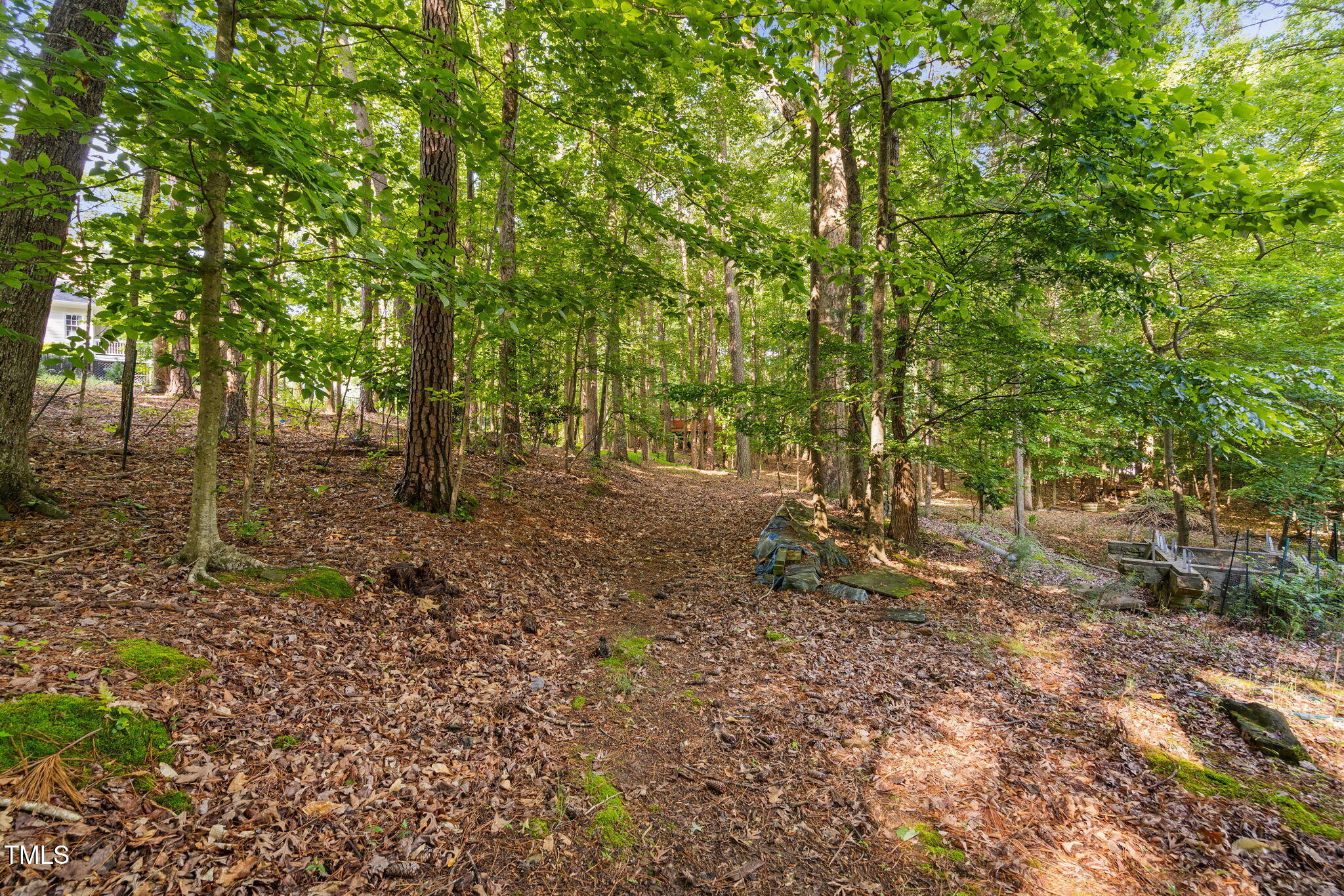 10405 Veasey Mill Road Raleigh, NC 27615 - Photo 80 of 94 a view of a tree in the middle of a yard