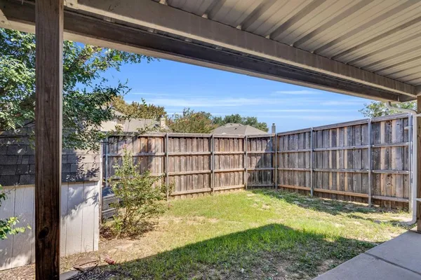 a view of a backyard with a large tree