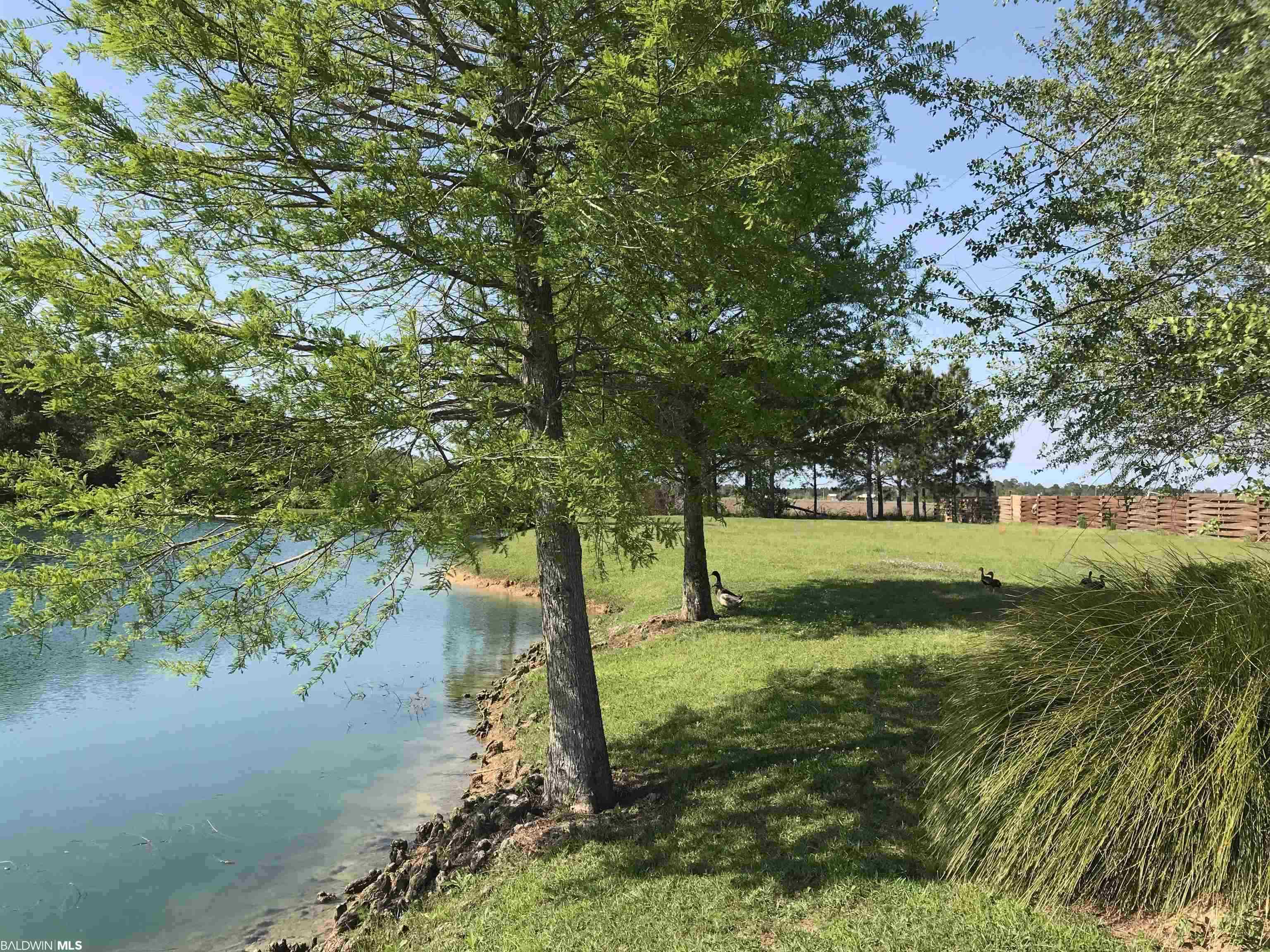0 Rocky Rd Loop Gulf Shores, AL 36542 - Photo 1 of 17 View