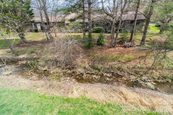 a view of a yard with plants and trees