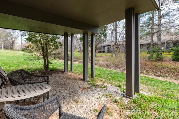 a view of backyard with large trees and plants