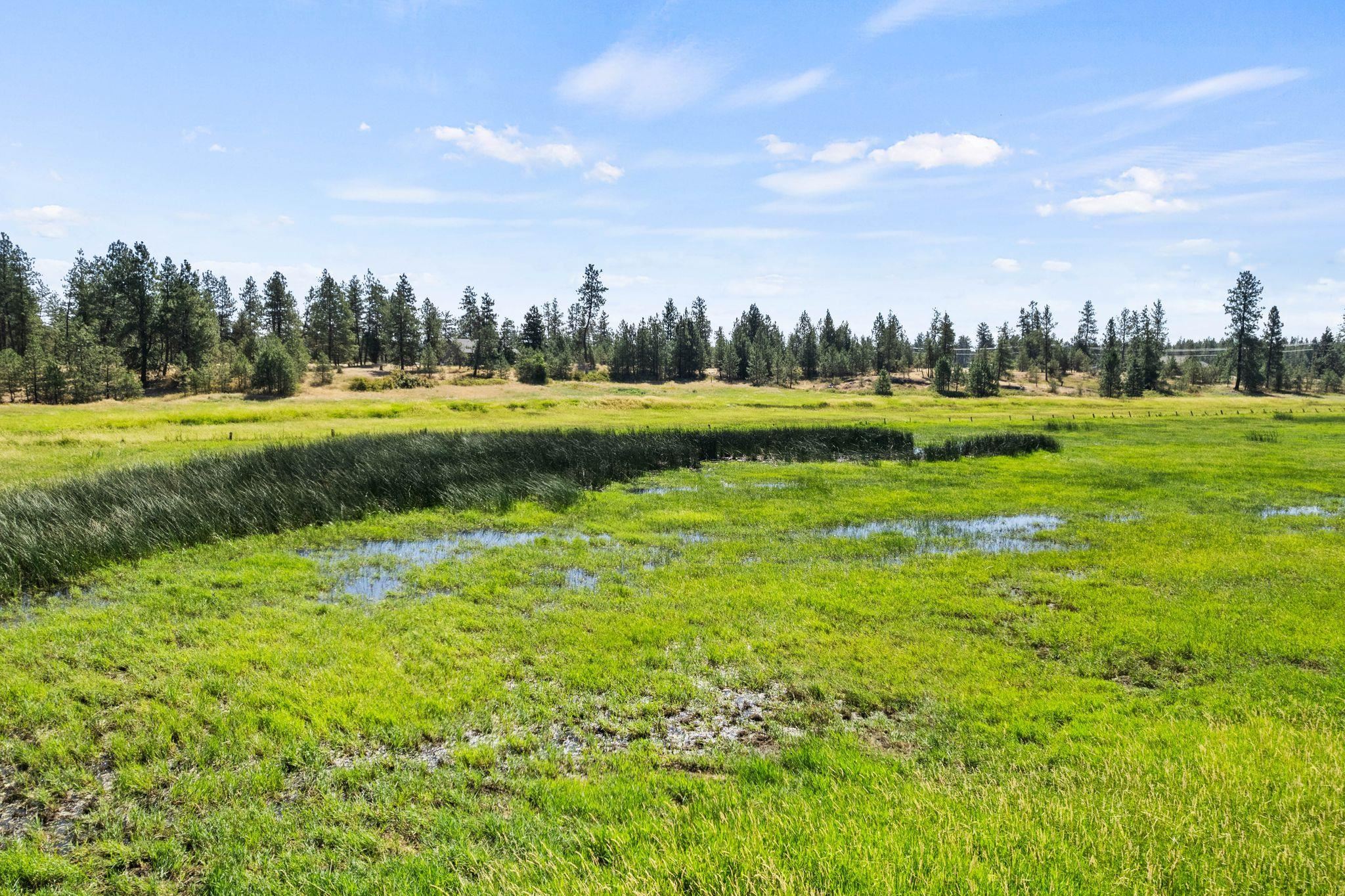 4611 West Anderson Road Cheney, WA 99004 - Photo 44 of 50