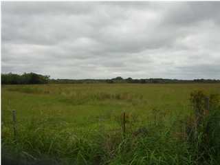 0 Tim Road Gueydan, LA 70542 - Photo 1 of 6 Primary Photo