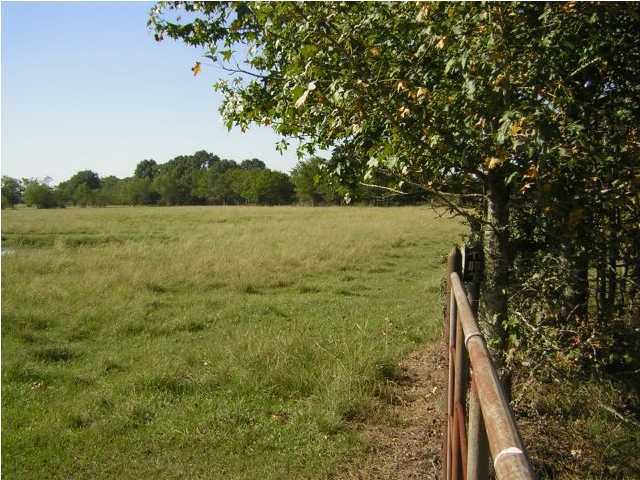 0 Tim Road Gueydan, LA 70542 - Photo 2 of 6 Additional Photo