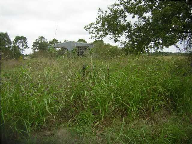 0 Tim Road Gueydan, LA 70542 - Photo 5 of 6 Additional Photo