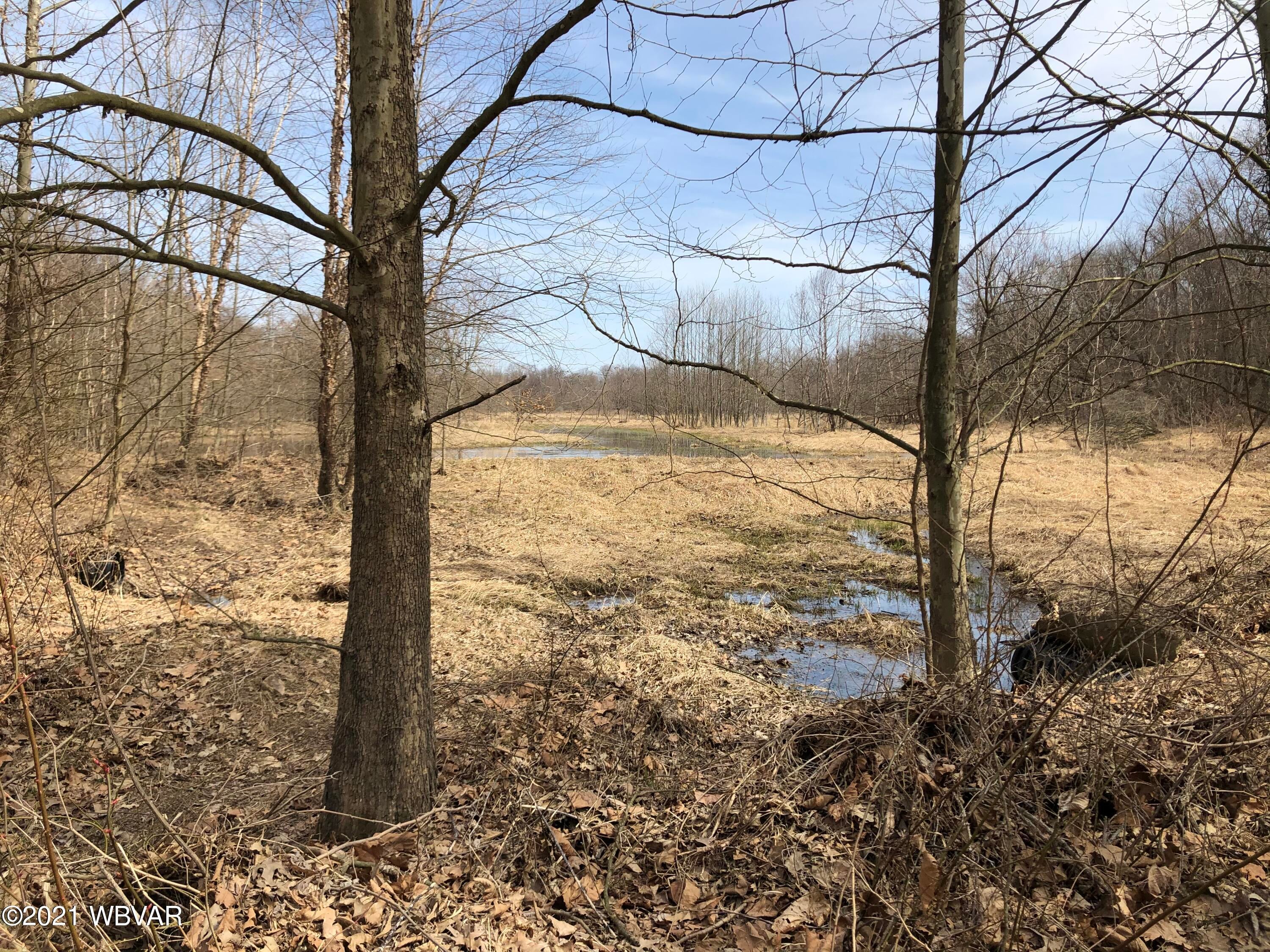 Pa-45 Route Milton, PA 17847 - Photo 15 of 17 Gallery Image 15