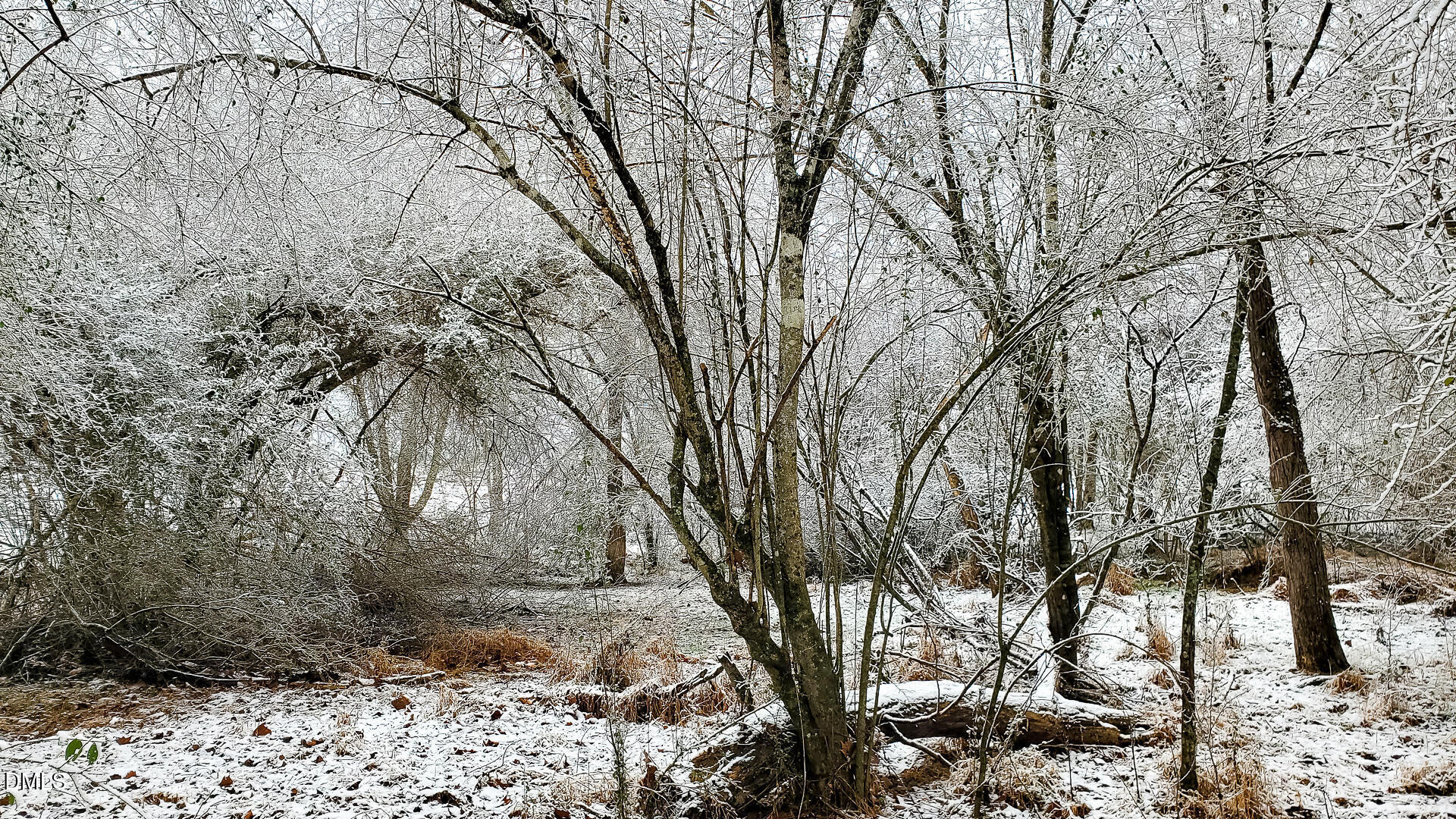 201 Briggs Road Hurdle Mills, NC 27541 - Photo 31 of 43
