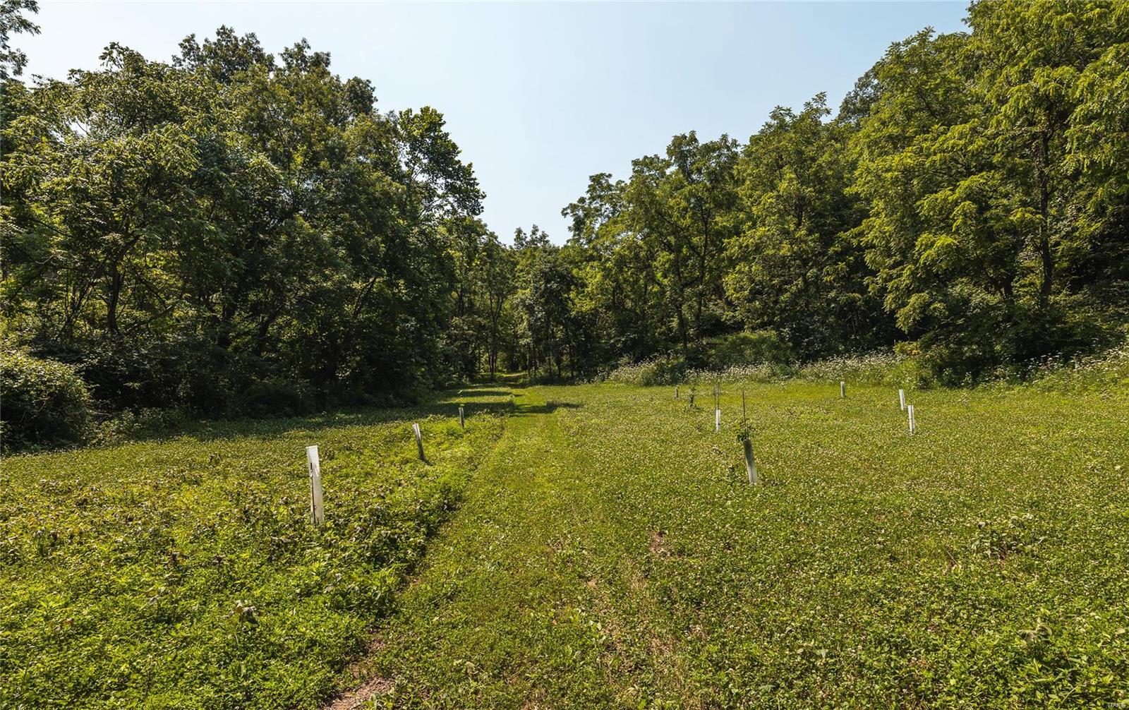 1213 Poor Farm Hollow Road Hardin, IL 62047 - Photo 54 of 82 Gallery Image 54