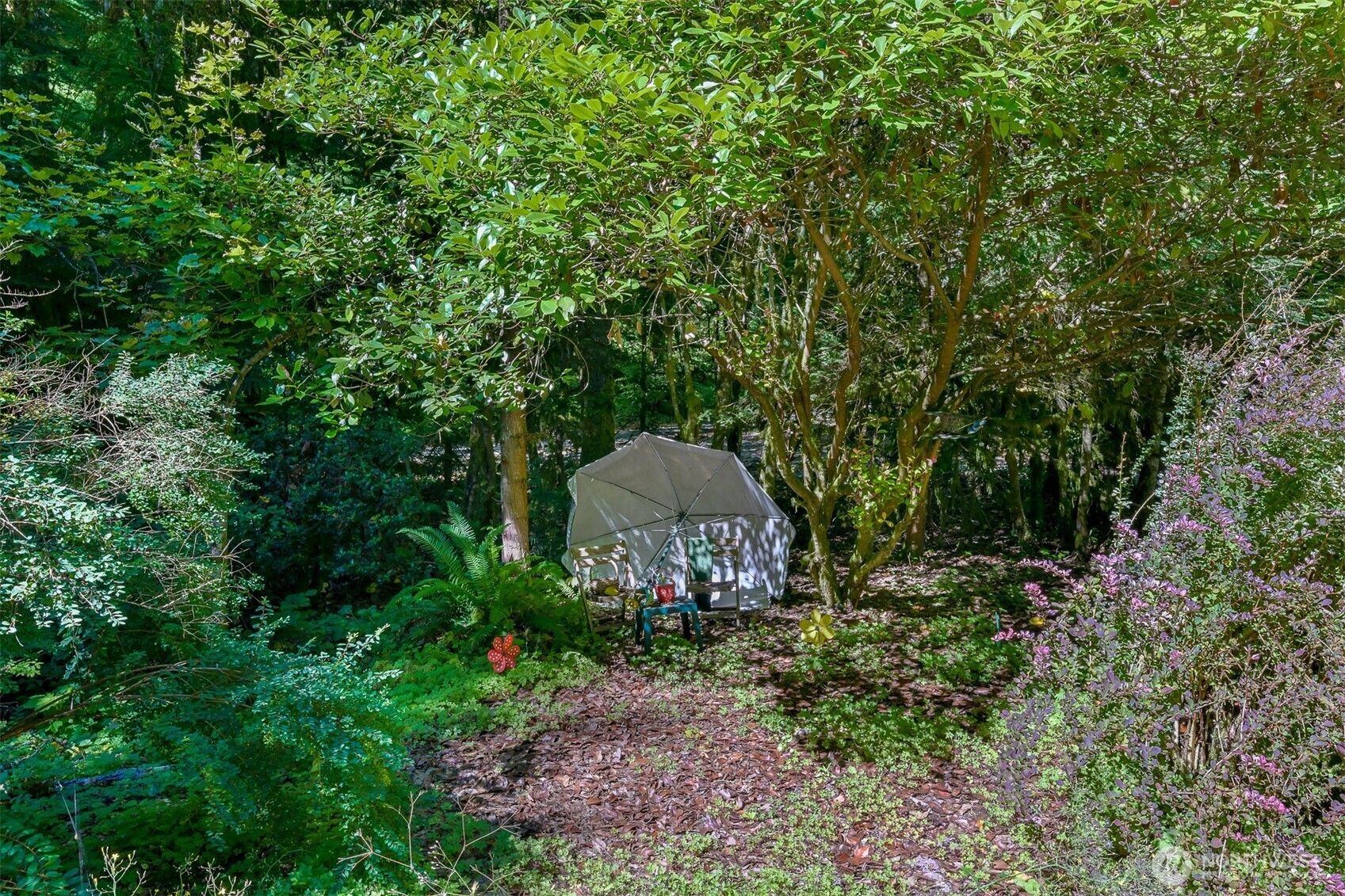 3013 Tower Road Maple Falls, WA 98266 - Photo 15 of 38 a front view of a house with a yard and covered with trees
