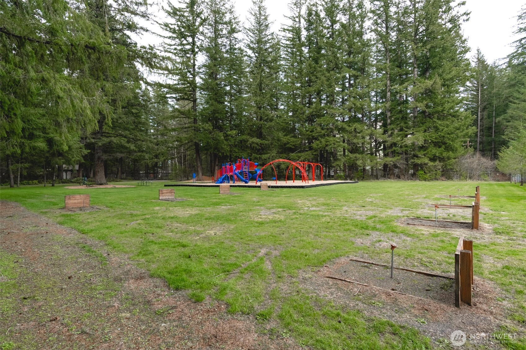 3013 Tower Road Maple Falls, WA 98266 - Photo 33 of 38 a view of a park with large trees