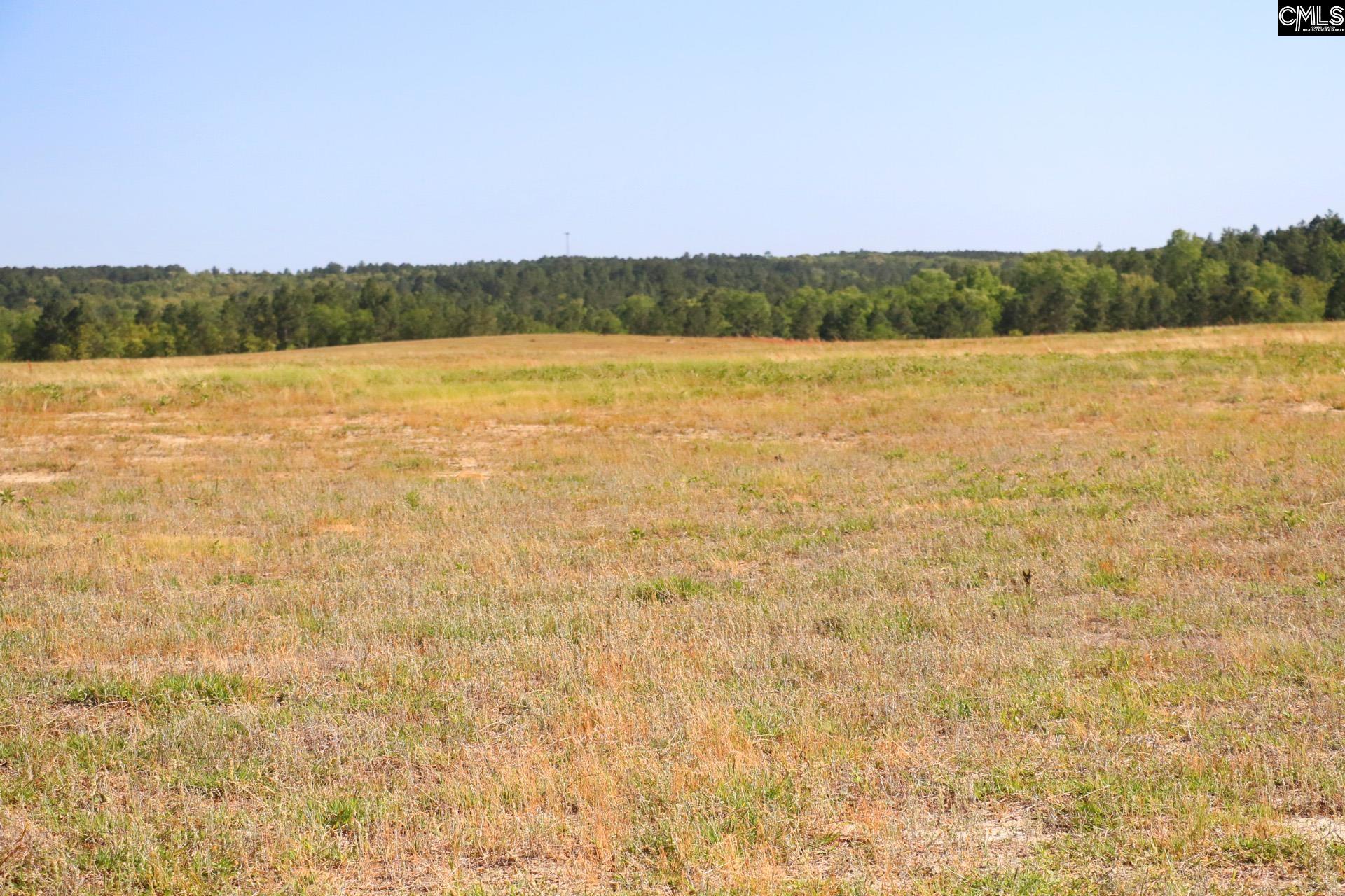 Tbd Browns Pond Road Wagener, SC 29164 - Photo 13 of 48