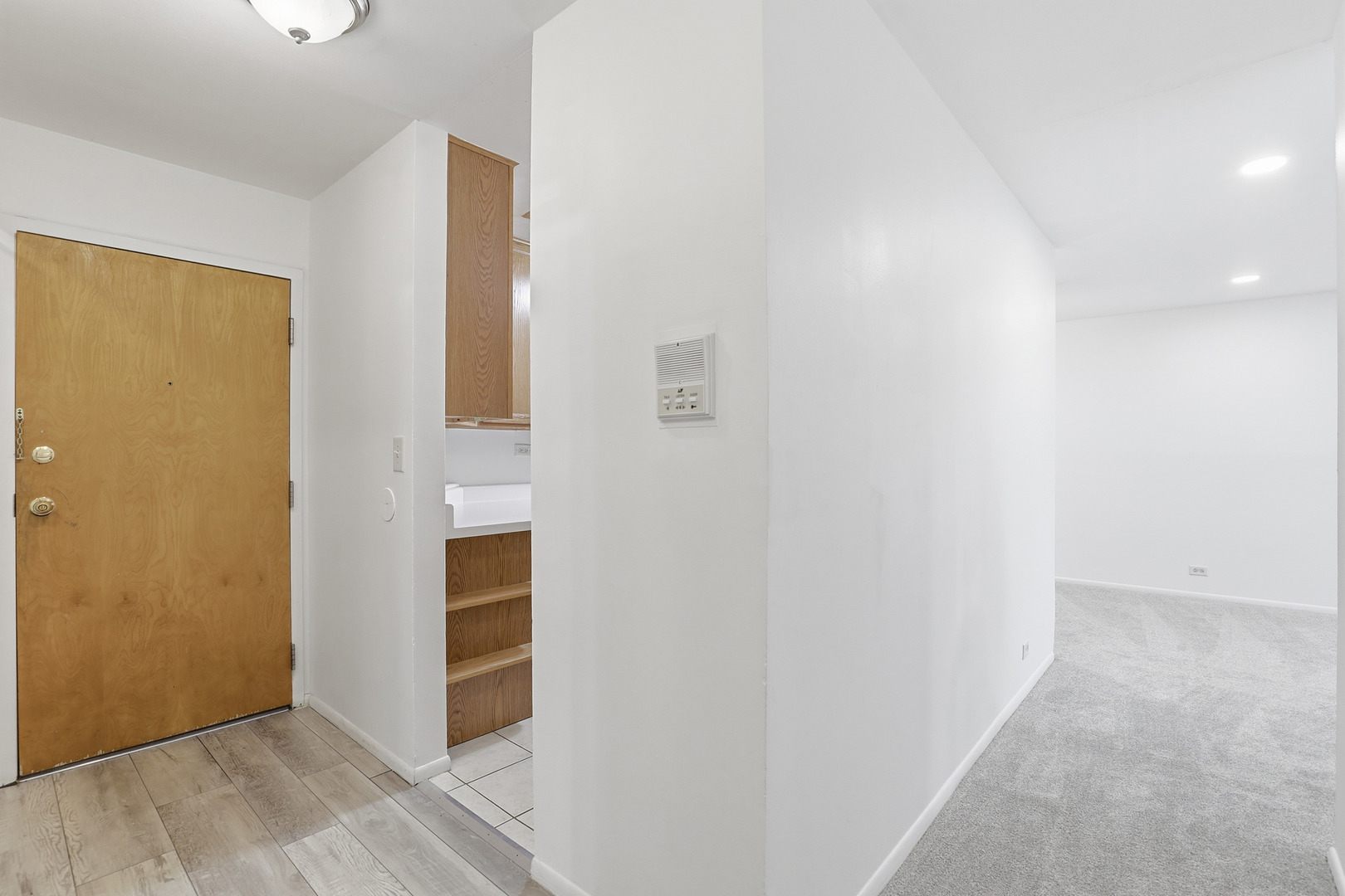 1375 Rebecca Drive, Unit 213 Hoffman Estates, IL 60169 - Photo 4 of 21