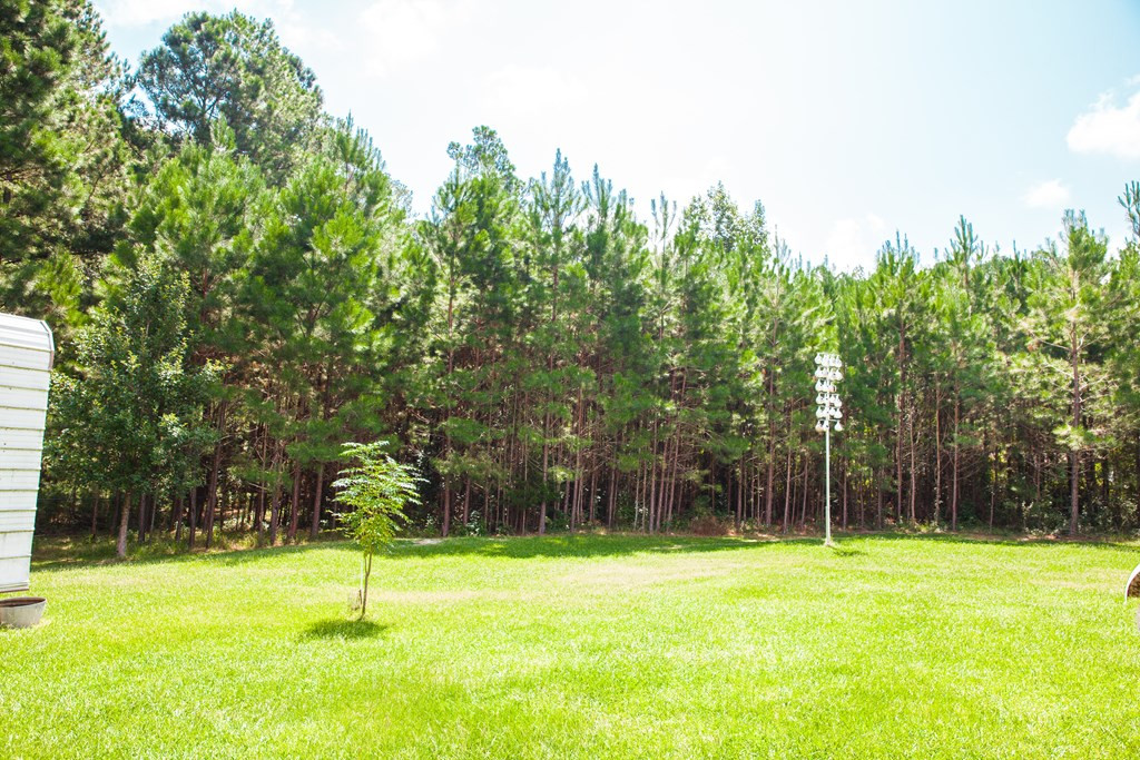 1199 Appling Harlem Road Harlem, GA 30814 - Photo 31 of 49