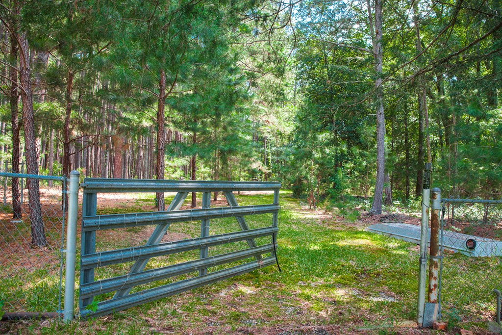 1199 Appling Harlem Road Harlem, GA 30814 - Photo 32 of 49