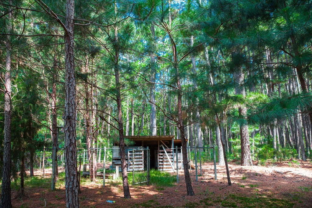 1199 Appling Harlem Road Harlem, GA 30814 - Photo 33 of 49