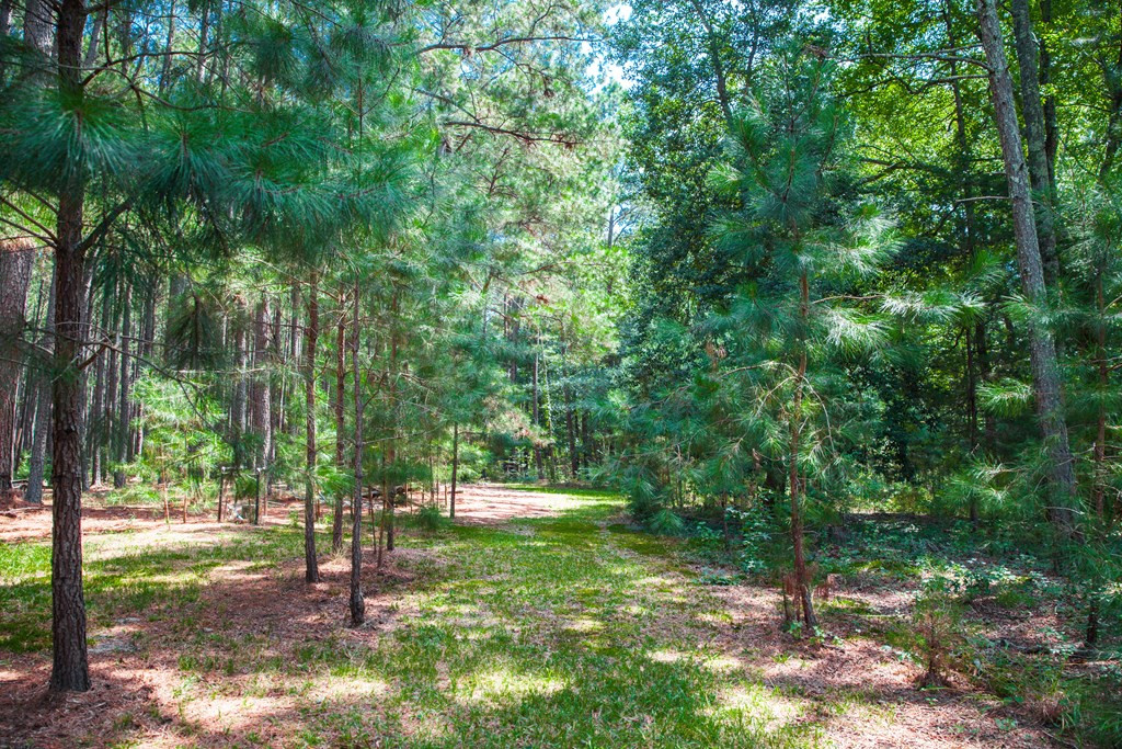 1199 Appling Harlem Road Harlem, GA 30814 - Photo 34 of 49