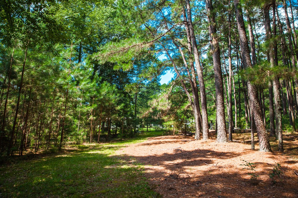 1199 Appling Harlem Road Harlem, GA 30814 - Photo 36 of 49