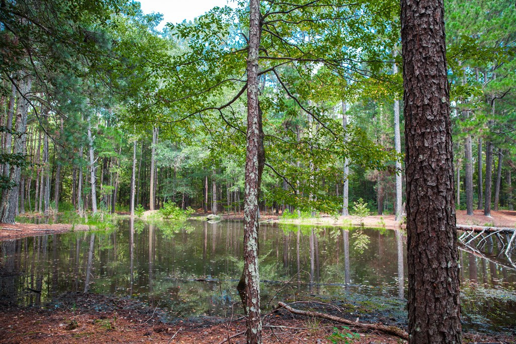 1199 Appling Harlem Road Harlem, GA 30814 - Photo 40 of 49