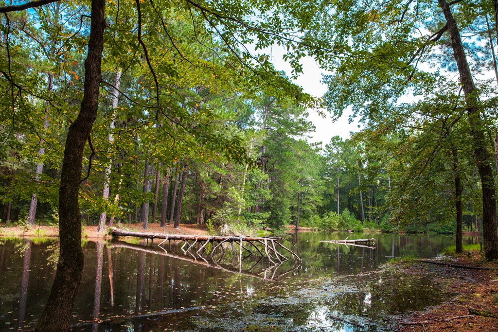 1199 Appling Harlem Road Harlem, GA 30814 - Photo 41 of 49