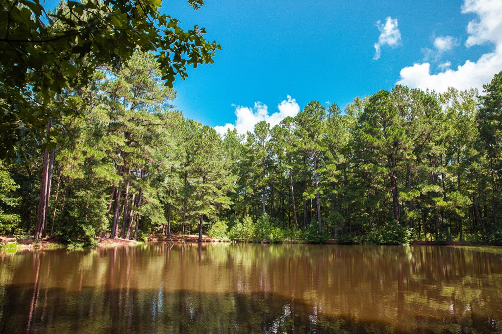1199 Appling Harlem Road Harlem, GA 30814 - Photo 43 of 49