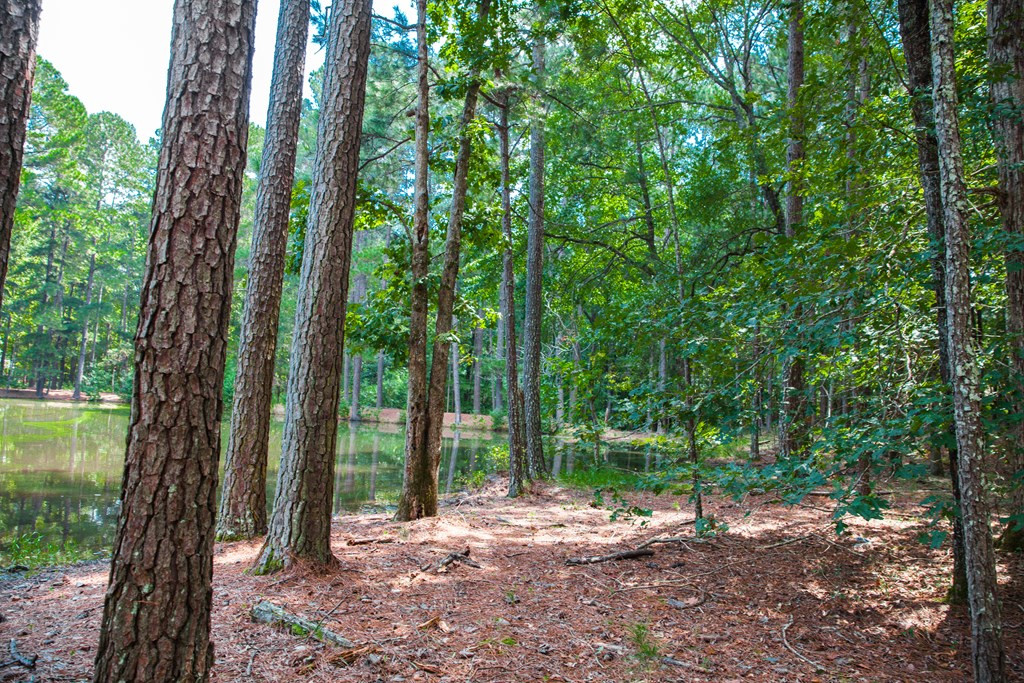 1199 Appling Harlem Road Harlem, GA 30814 - Photo 48 of 49