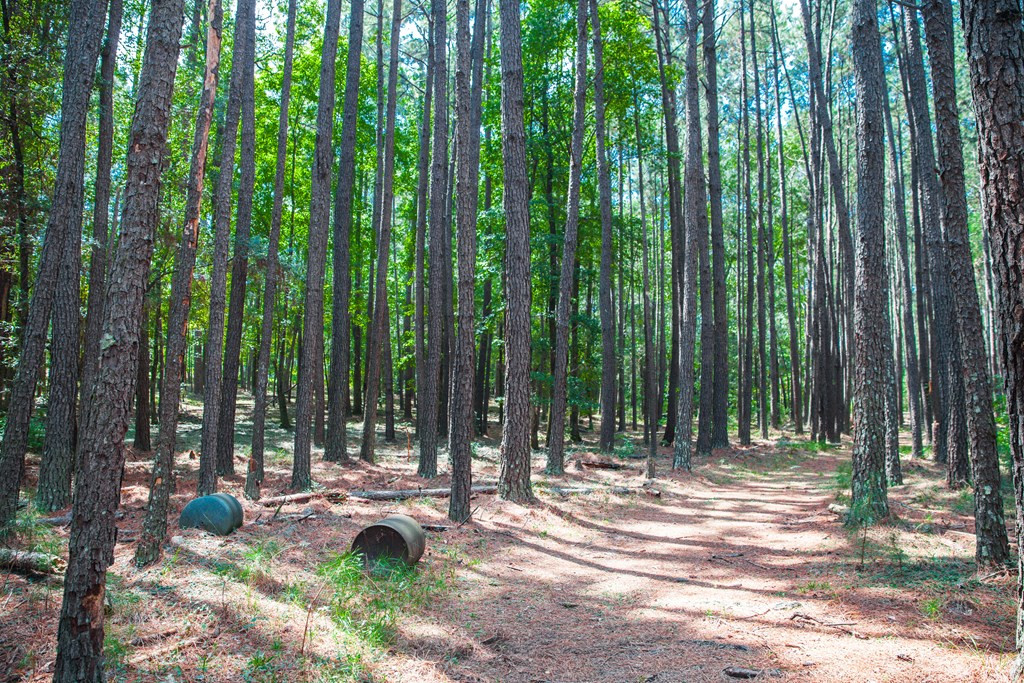 1199 Appling Harlem Road Harlem, GA 30814 - Photo 49 of 49
