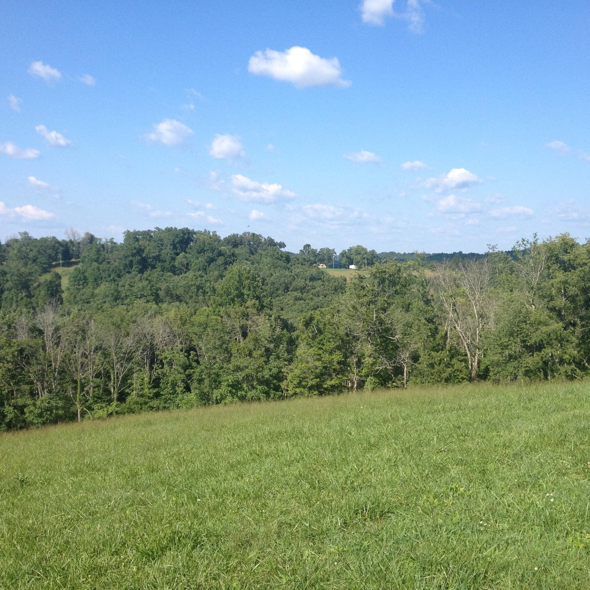 3944 Napier Ridge Genoa, WV 25517 - Photo 3 of 19 Gallery Image 3