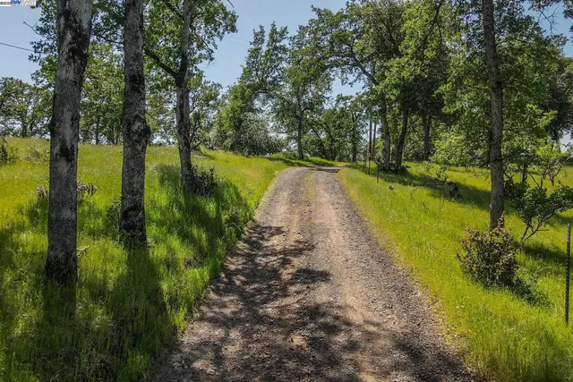 a view of a lake with a yard and trees