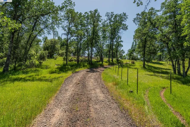 a view of a garden with a house in the background