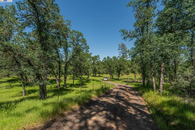 a view of a swimming pool with a yard