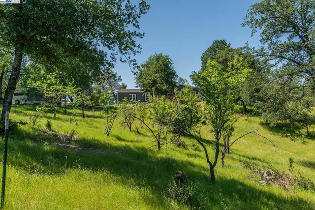 a front view of house with yard and trees