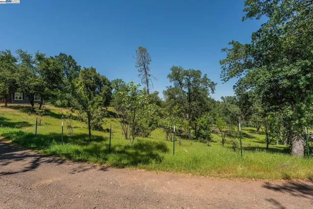 a view of a lake with a large mountain