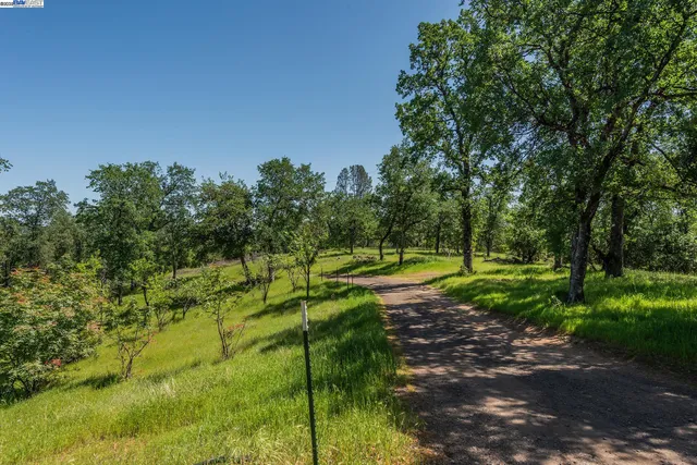 a view of a swimming pool with a yard