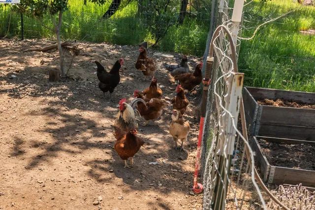 $370,000 | 21679 Squaw Grass Trail, Redding, CA 96003