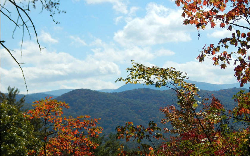Lt453 Lt453 Choctaw Ridge Blue Ridge, GA 30513 - Photo 1 of 1 a view of a garden