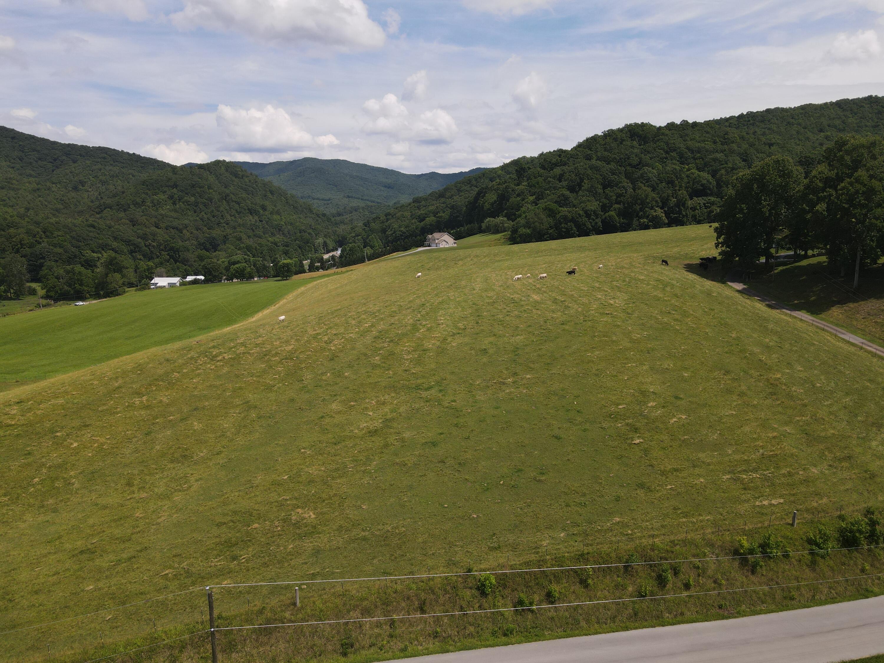 Tbd Whispering Pines Road, Unit 15 Johnson City, TN 37601 - Photo 1 of 6 DJI_0397